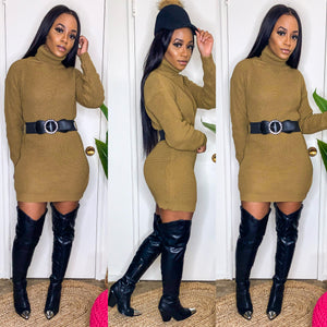 Knit Decisions Turtle Neck Dress